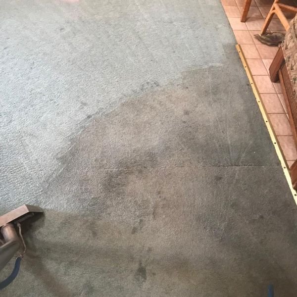 Stain Removal Results